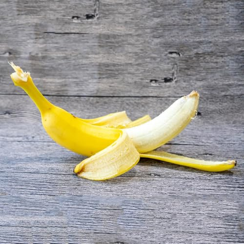plátanos - semillas de plátano raros banano Semillas de decoración jardín al aire libre sostenibles arbustos rápido crecimiento 25semillas