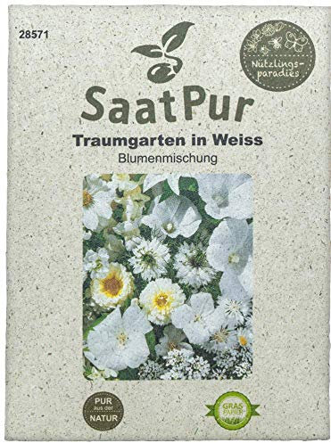 SaatPur Sommerblumenmischung Traumgarten in Weiß Samen Saatgut Sommeraussaat Blumenmix