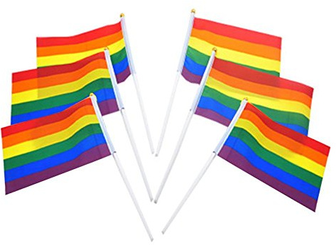 Cymwer 6 banderas de orgullo pequeño de 21 x 14 cm, banderas de arco iris onduladas a mano para LGBTQ, banderas de orgullo gay progreso, bandera asexual bisexual de orgullo lesbiano para desfiles de