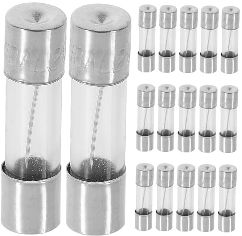Yardenfun 100 Stück Glassicherung Feinsicherung für Kfz Pkw Auto Stromkreisschutz mit Kupferkappen Langlebige Glasrohrsicherung Vielseitig Einsetzbar