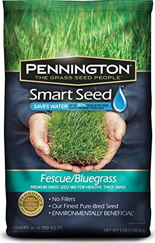 Pennington 100526630 Smart Seed, 3 lbs, Green