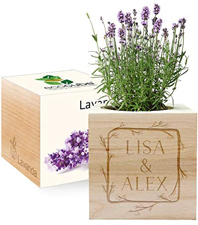 Amikado - EcoCube personalizzabile con incisione Cornice fiorita (Lavanda), Kit per Far Crescere la Propria pianta, Idea Regalo (100% Ecologica)
