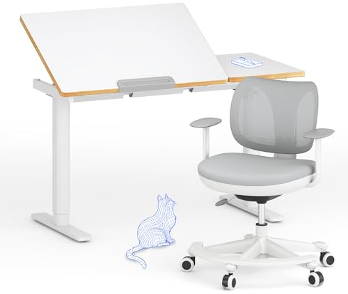 FLEXISPOT Kinderschreibtisch höhenverstellbar elektrisch 110 × 52 cm