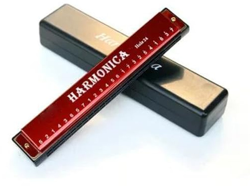 Erwachsene Mundharmonika 24-Loch-Mundharmonika aus Metall für Anfänger(Red)