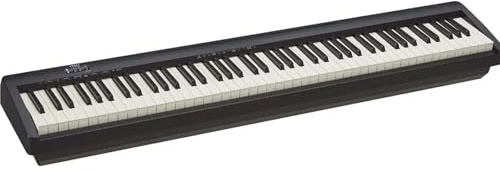 Tastiera Elettronica Professionale Tastiera Digitale Entry Level A 88 Tasti Modalità Twin Piano Tastiera Standard