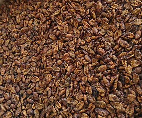 Bachi da seta essiccati da 1,5 kg, mangime per Koi e pesci laghetto, pesci di stagno, uccelli, roditori, tartarughe, rettili, senza conservanti e coloranti