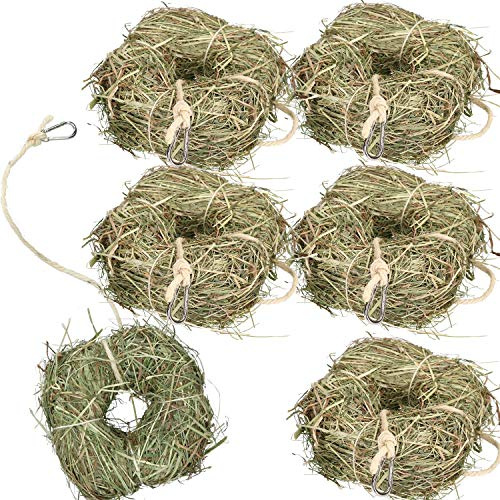 6 pezzi di piccolo animale noia Breaker Treat coniglio Guinea naturale Fieno di erba medica
