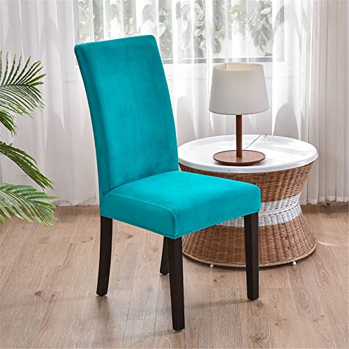Morbuy Einfarbig Stuhlhussen Set Stretch Stuhlbezug für Esszimmerstühle, Samt Velvet Waschbarer Stuhlhussen Schwingstühle Stuhlüberzug für Haus Hotel Hochzeit Partys (4er Set,Türkis)