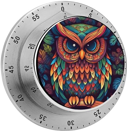 Magnetischer Timer, farbiger Eulen-Muster, Koch-Timer, mechanischer Edelstahl-Kochtimer, Countdown, 60-Minuten-Küchentimer