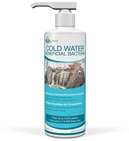 Aquascape 98892 Cold Water Beneficial Bacteria for Pond and Water Features, 8-Ounce