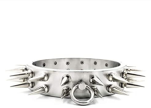Abschließbarer Metall Halsband/Halsbänder/Kragen, Schwer Edelstahl Halsreif Halsfessel mit Zweireihigem Abnehmbarem Dornen Hals Kragen SM Fetisch Keuschheit Sperren,Männer,Ø13.6cm
