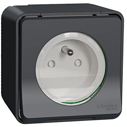 Schneider Electric - Mureva Styl - Prise courant 2P+T - saillie - IP55 - IK08 - connexion auto - gris - MUR35031