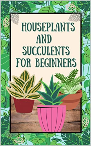 The easiest houseplants and succulents for beginners and how to take care of them