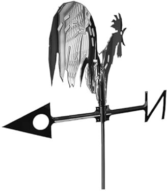 Veleta de gallo de acero inoxidable, indicador de dirección del viento para jardín, 55 cm de altura