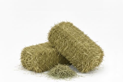 Fieno Naturale per Cavalli, Ovini, Caprini e Bestiame 15 Kg | Balla di Fieno Italiano di Prato di Montagna Biologico | Alimento per Tutti i Roditori, Conigli e Bestiame | Alta Qualità