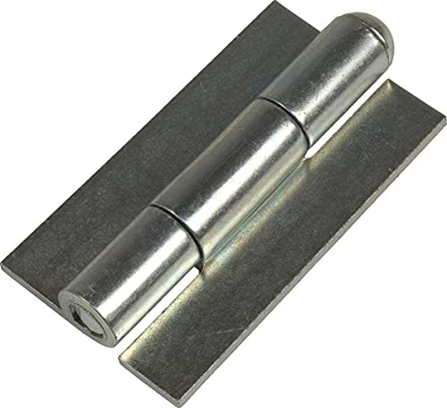 RECENSE - BISAGRA SOLDAR LIBRILLO 12%, Alto/largo 120 mm, ancho ala 24 mm