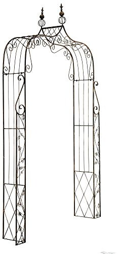CLP Arco per Piante Rampicanti in Metallo Aurora I Arco Pergolato in Ferro Verniciato A Polvere Stile Liberty, Colore:Bronzo
