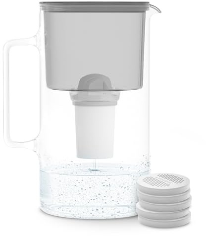 Wessper Jarra Filtradora de Agua de Vidrio 2.5 L | Reemplazo para Aquaphor Standard, Brita Classic, Dafi Classic | 1 Filtro de Agua AquaClassic + 5 Filtros ActiveDisc | Gris