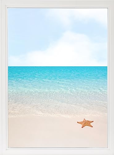 GRAZDesign Fensterfolie Blickdicht, Sichtschutzfolie für Fenster und Glastüren, Mehrfarbig, Vinyl, UV-beständig, Selbstklebend, Strand mit Seestern Motiv (70x57cm)