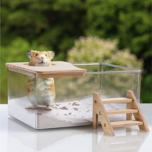 Navaris Hamster Sandbad mit Zubehör - Badesand für Nagetiere mit transparenter Box - Hamster Zwerghamster Mäuse Sand Bad - Hamster Sand Box fein - Hamsterzubehör