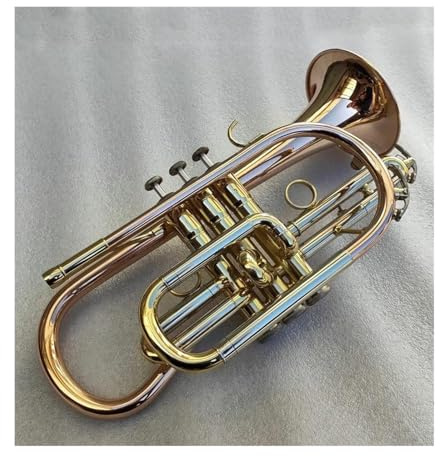 Trompete für Anfänger Goldene B-Kornett-Trompete Aus Messing Mit Koffer Und Mundstück Musikinstrumente