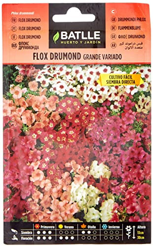 Semillas Batlle Flox drumond Grande Vario