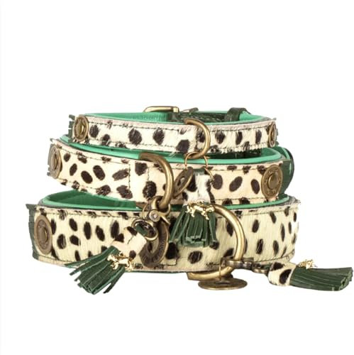 Dog with a Mission - Hundehalsband M | Leopard, Grün, Braun | Boho, Ethno, Urban, Hippie | Ideal für mittelgroße Hunde | Handgemacht, Bunt und Modisch Design, Luxe | 2,5 cm Breit
