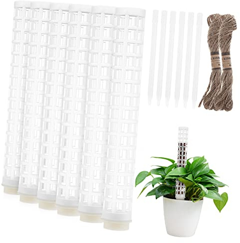 TOYANDONA 6piezas De Sphagnum para Plantas De Interior Postes De De Plástico para Plantas Monstera Estacas De Soporte para Trepadoras
