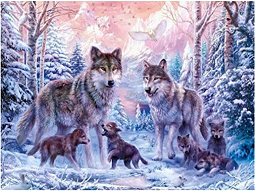 YEESAM ART Neuheiten Malen nach Zahlen Erwachsene Anfänger, Wald Schnee Wolf Familie Tier Schnee Bäume 40x50 cm Leinen Segeltuch, DIY ölgemälde Weihnachten Geschenke (Wolf, Mit Rahmen)