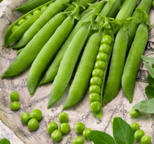 100g semi di Piselli Nani, Semi di Pisello ottimi da consumare freschi e da surgelo
