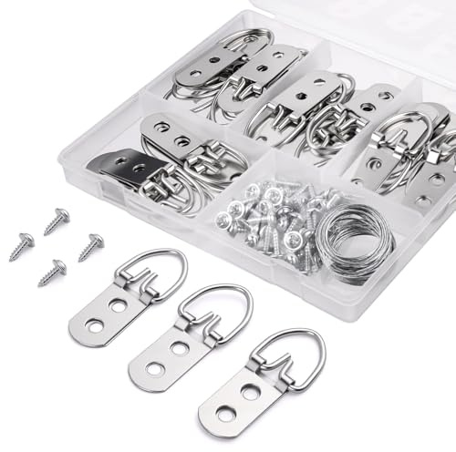 GCXIXPY D Ring Picture Hanging Kit with Screws Kit, 30 Double Hole Hangers & 60 Screws with 1 Steel Wire Rope, Professional Wall Hooks for Art Frames and Mirror Wall Mounting Frames Mirrors Canvas