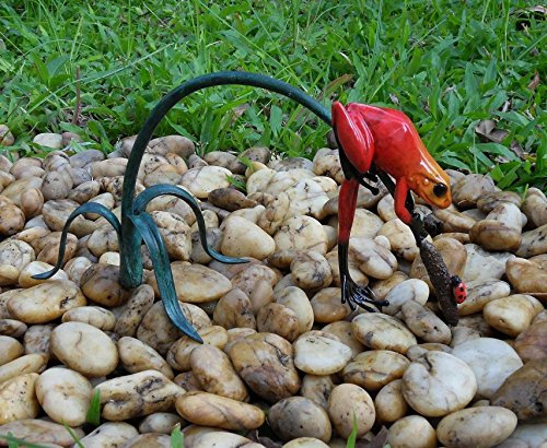 H. Packmor GmbH Bronzeskulptur roter Regenwaldfrosch auf einem AST - Dekoration für den Garten - 15x12x28 cm