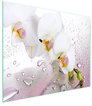 DarHaus Herdabdeckplatte einteilig 52x30 cm Ceranfeld Abdeckung Glas Spritzschutz Abdeckplatte Glasplatte Herd Ceranfeldabdeckung Deko, Orchidee Weiß