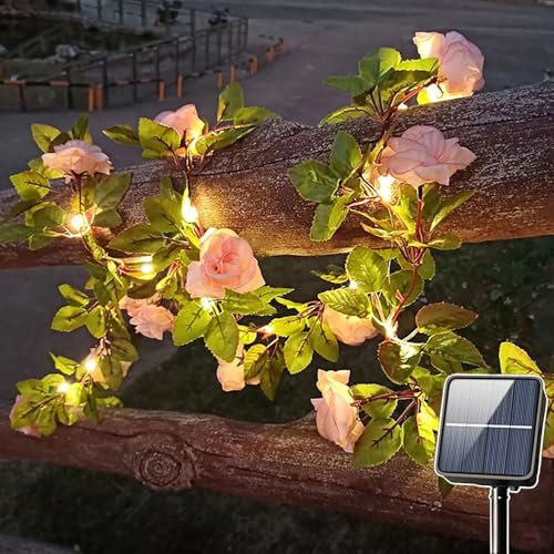 SUAVER Solar Rose Vine String Lights Outdoor Decorative Artificial Rose Flower Ivy Garland Light,Waterproof Solar Fairy Light Champagne Roses Decor for Balcony Terrace Fence Wedding Party (2m 20LED)