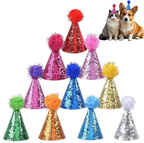10 Stück Mini Partyhüte für Kuscheltiere, PartyhüTe Kindergeburtstag Kleine, Bunt Geburtstagshut für Hunde und Katzen Kleine Kegelhüte mit Glitzer Pompons, Geburtstagshüte für Kinder und Erwachsene