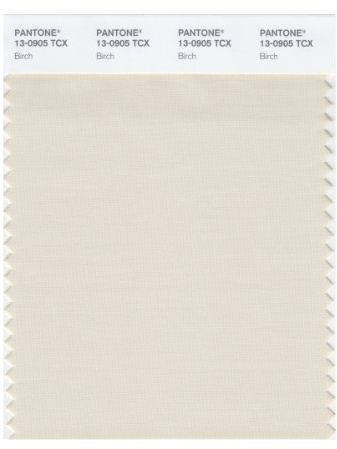 PANTONE SMART 13-0905X Color Swatch Card, Birch