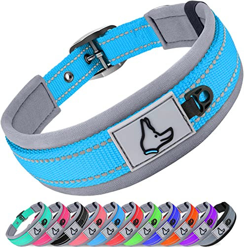 Joytale Reflective Dog Collar Medium | Ultra Comfy Soft Neoprene Padded | Heavy Duty Metal Belt Buckle, Sky Blue