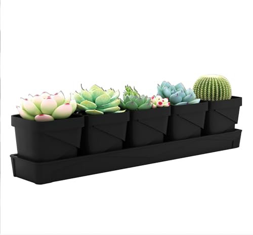 Lot de 5 pots avec soucoupe - Pour plantes d'intérieur - Avec plateau, jardin d'herbes aromatiques et rebord de fenêtre - Décoration intérieure - Pot basilic avec poignées en cuir - Cache-pots pour