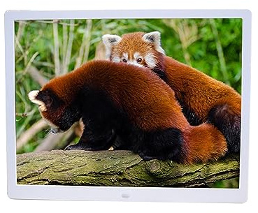 Digitaler Fotorahmen, 15-Zoll-Display, USB- und SD-Kartensteckplätze und Fernbedienung, Unterstützung for Fotos, Musik, Videos (Color : White)