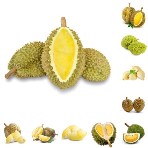 durian - kräutergarten säulenobst winterharte für balkon balkon exotische obstbaum baumsamen bio zimmerpflanzen - Seltene 100samen