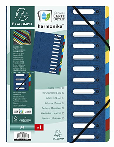 Trieur harmonika a fenetres avec elastiques nature future carte lustree 12 compartiments