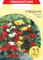 BULBI PRIMAVERILI BEGONIA PENDULA IN MIX CONFEZIONE DA 6 BULBI BULBS BULBES
