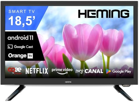 Heming Téléviseur Camping-Car 12V/24V/220V Smart TV Android 18,5 (47 cm) – TV Connectée WiFi Bluetooth, Écran Compact 19 Pouces pour Caravane, Fourgon, Camion, Cuisine – Garantie 2 Ans