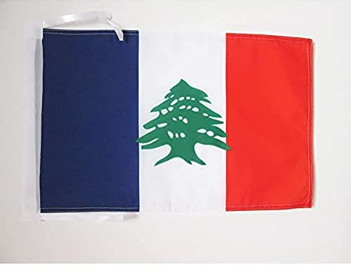 AZ FLAG Drapeau Grand Liban 1920-1943 45x30 cm Polyester 100D Cordelettes | Usage intérieur et extérieur Drapeau décoratif du Liban français coutures doubles et bords renforcés