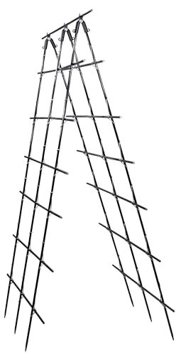 Gurken Rankhilfe, Rankhilfe Garten, Rankhilfe Gurken, Trellis, Rankhilfe Himbeeren, Bohnen Rankhilfe, Rankgitter Gurken, Rankhilfen, Gurkenturm 1 x 1 m