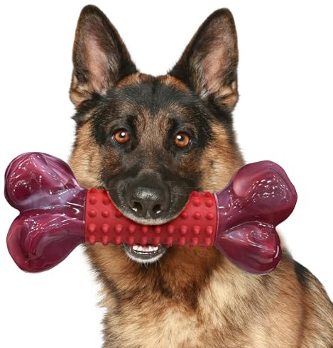 ChienBox Jouet Chien Indestructible: Jouet pour Chien pour Chiens Moyens et Grands, Jouets à Mâcher pour Chiens pour Mâcheurs Agressifs, Caoutchouc Naturel & Nylon Durable, en Forme d’Os, Saveur Bœuf