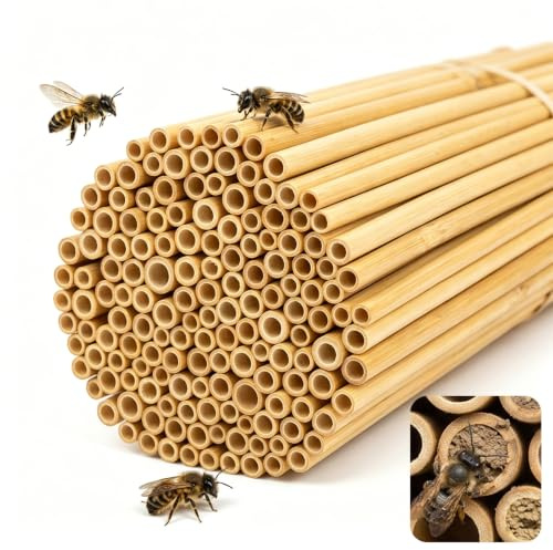 200 Stück Nisthülsen für Insektenhotel,Niströhren für Wildbienen,14.5 cm Länge & Durchmesser 2-5 mm,Nisthülsen Insektenhotel Füllmaterial,Niströhren für Bienenhotel