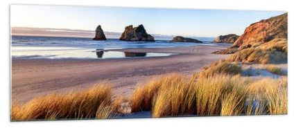 Panorama Bilder auf Glas Dünen Strand Natur Glasbild 140x50cm Wandbilder Dekoration Wohnzimmer Schlafzimmer Küche Groß XXL Wanddeko Bild im Glas Wand Kunstdruck Art Modern Wall Decor GAB140x50-5880