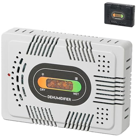 Deumidificatore Elettrico Rinnovabile, Mini Deumidificatore Senza Fili da 13W con Presa Elettrica, Finestra di Visualizzazione e Funzione di Ricarica, Asciugatore d'Aria Riutilizzabile per Casa white