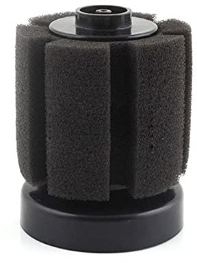 NIMUDU Schwammfilter,Aquarium Filter 10 stücke Bio-Schwammfilter für die Zucht Fry Betta Shrimp Nano-Aquarium Aquarium Biochemischer Schwammschaum (Color : Black, Size : One Size)
